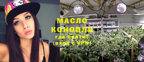 дмт Алзамай
