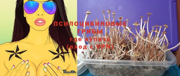 дмт Алзамай