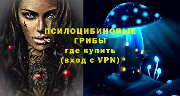 дмт Алзамай