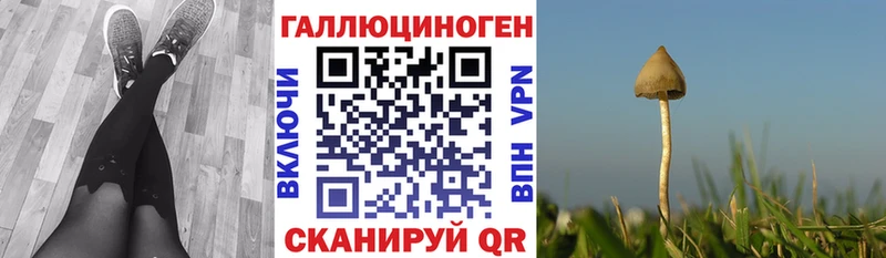 Галлюциногенные грибы мицелий  mega ССЫЛКА  Чусовой 