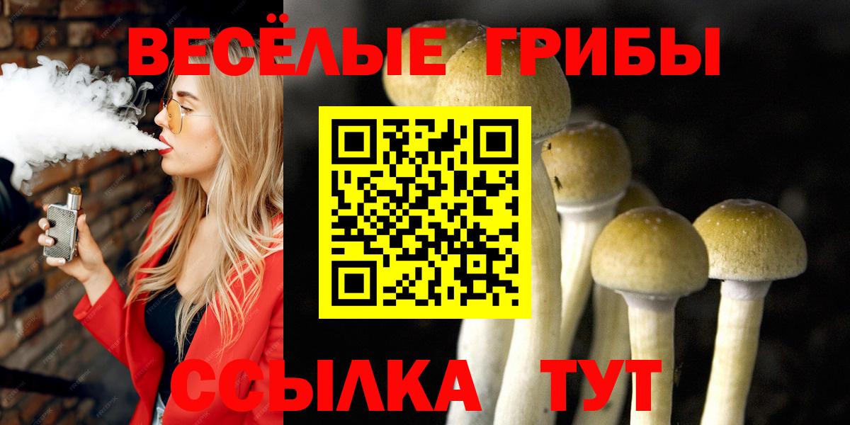 Чусовой  Псилоцибиновые грибы ЛСД  Вход с VPN 